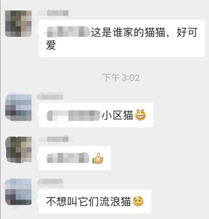 业主群聊天截图